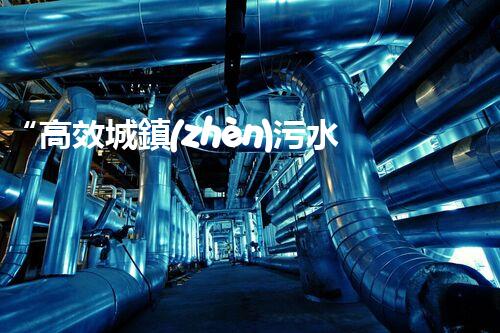 “高效城鎮(zhèn)污水處理流程，守護(hù)碧水藍(lán)天新篇章”